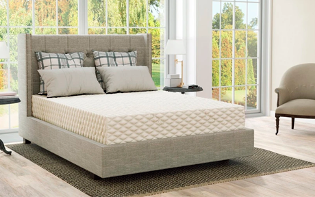  Shop for PlushBeds® Natural Bliss Mattress - Bestmattress.store