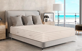 Shop for PlushBeds® Luxury Bliss Mattress - Bestmattress.store