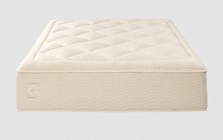  Shop for Tea Leaf Dream® - Bestmattress.store